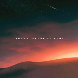 ดาวน์โหลดและฟังเพลง Agave (Close To You) พร้อมเนื้อเพลงจาก Austin Brown