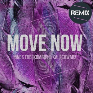 Listen to Move Now (Niko De Vries Remix) song with lyrics from Jones the Ikomboy