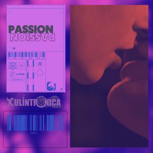 Kulintronica的專輯Passion