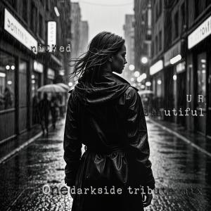 收聽Nicked的U R So Beautiful (Darkside Tribute Mix)歌詞歌曲