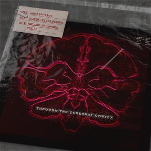 ดาวน์โหลดและฟังเพลง Through The Cerebral Cortex พร้อมเนื้อเพลงจาก Draven