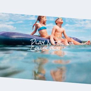 Various Artists的專輯Play Nice Collection