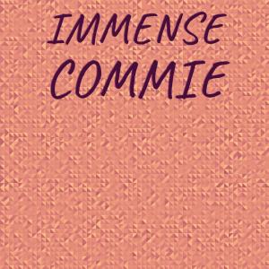 Listen to Immense Commie song with lyrics from Amine Sner