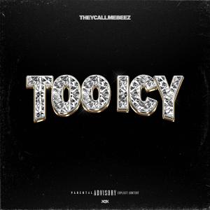 ดาวน์โหลดและฟังเพลง Too Icy (Explicit) พร้อมเนื้อเพลงจาก TheyCallMeBeez