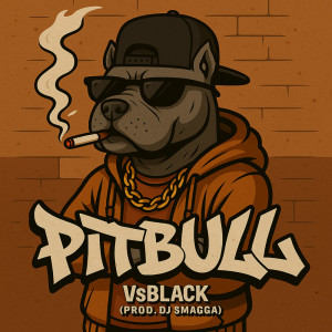 VSblack的專輯Pitbull (Explicit)