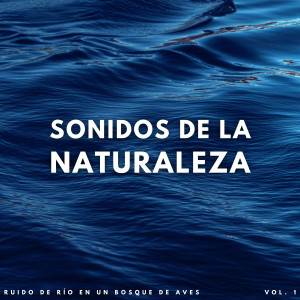 Sonidos de yoga的專輯Sonidos De La Naturaleza: Ruido De Río En Un Bosque De Aves Vol. 1