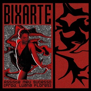 Listen to Assiste meu Sucesso (Dj Luana Flores remix) song with lyrics from Bixarte