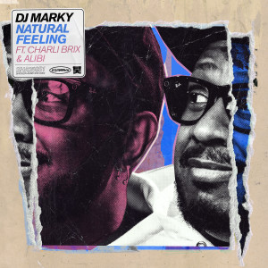 Album Natural Feeling from DJ Marky