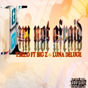 Listen to I'm Not Afraid (Explicit) song with lyrics from T.M.L.O
