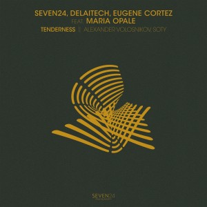 Listen to Tenderness (Soty Remix) song with lyrics from Seven24