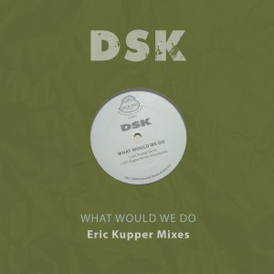 Album What Would We Do - Eric Kupper Mixes from DSK