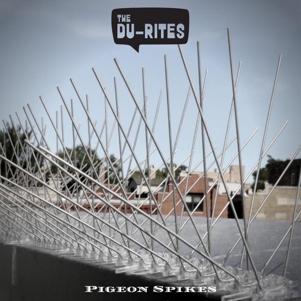 Pigeon Spikes