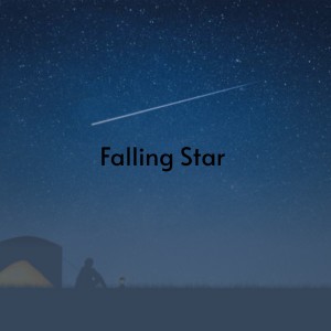 收聽Diane Renay的Falling Star歌詞歌曲