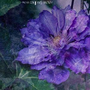 Listen to Mrs. Arcade song with lyrics from NOYU.SIR