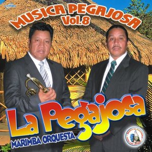 Música Pegajosa Vol. 8. Música de Guatemala para los Latinos