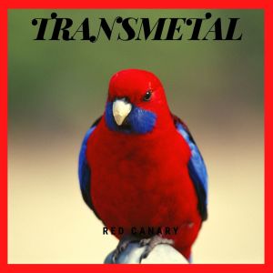 Listen to Red Canary song with lyrics from Transmetal