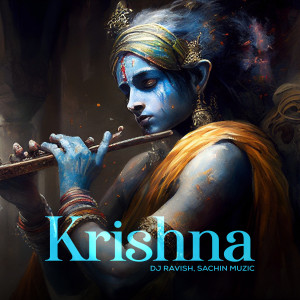 ดาวน์โหลดและฟังเพลง Krishna พร้อมเนื้อเพลงจาก DJ Ravish