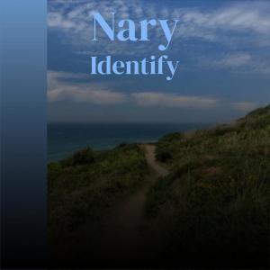 Album Nary Identify from Various