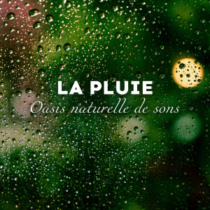 收聽Zen Ambiance D'eau Calme的LA PLUIE歌詞歌曲