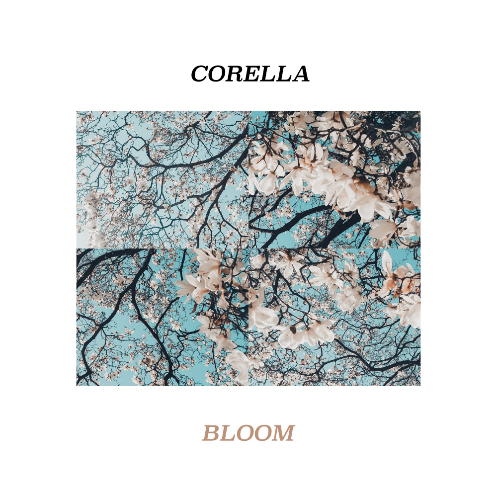 Bloom