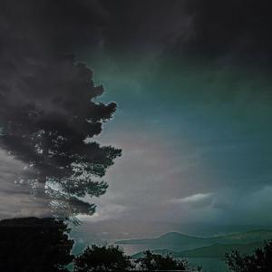 收聽Lil Sabb的dead flowers (Explicit)歌詞歌曲