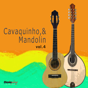 Listen to Trem das Onze song with lyrics from Grupo Vou Vivendo