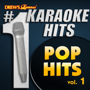 收聽Karaoke的Bitch (As Made Famous by Brooks, Meredith)歌詞歌曲