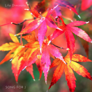 Album Song For J oleh Lila Diminuto
