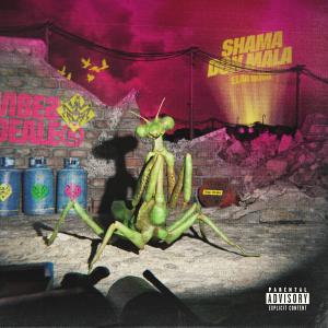 Album Vibes Dealer (Explicit) from Shama24k