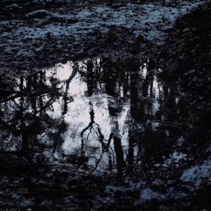收听Anima的Metallum歌词歌曲
