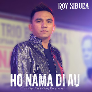 Album HO NAMA DI AU from Roy Sibuea