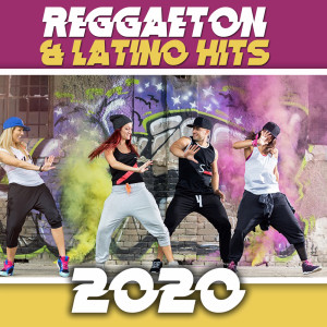 Listen to Tu Perro song with lyrics from Sak Luke