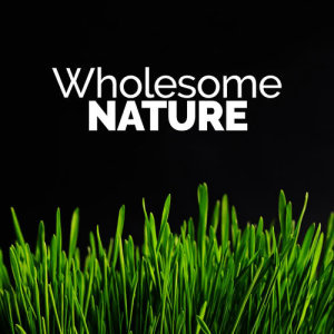 The Healing Sounds of Nature的專輯Wholesome Nature