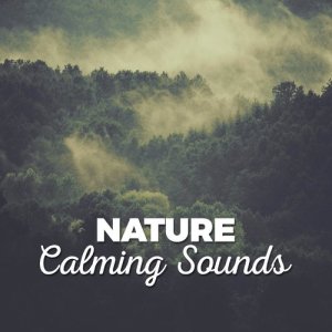 Bruits naturels的專輯Nature: Calming Sounds