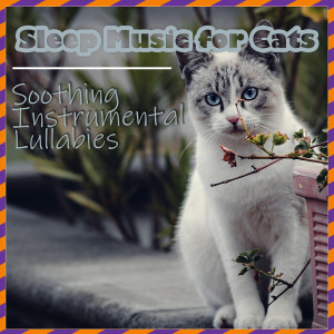 Sleep Music for Cats - Soothing Instrumental Lullabies