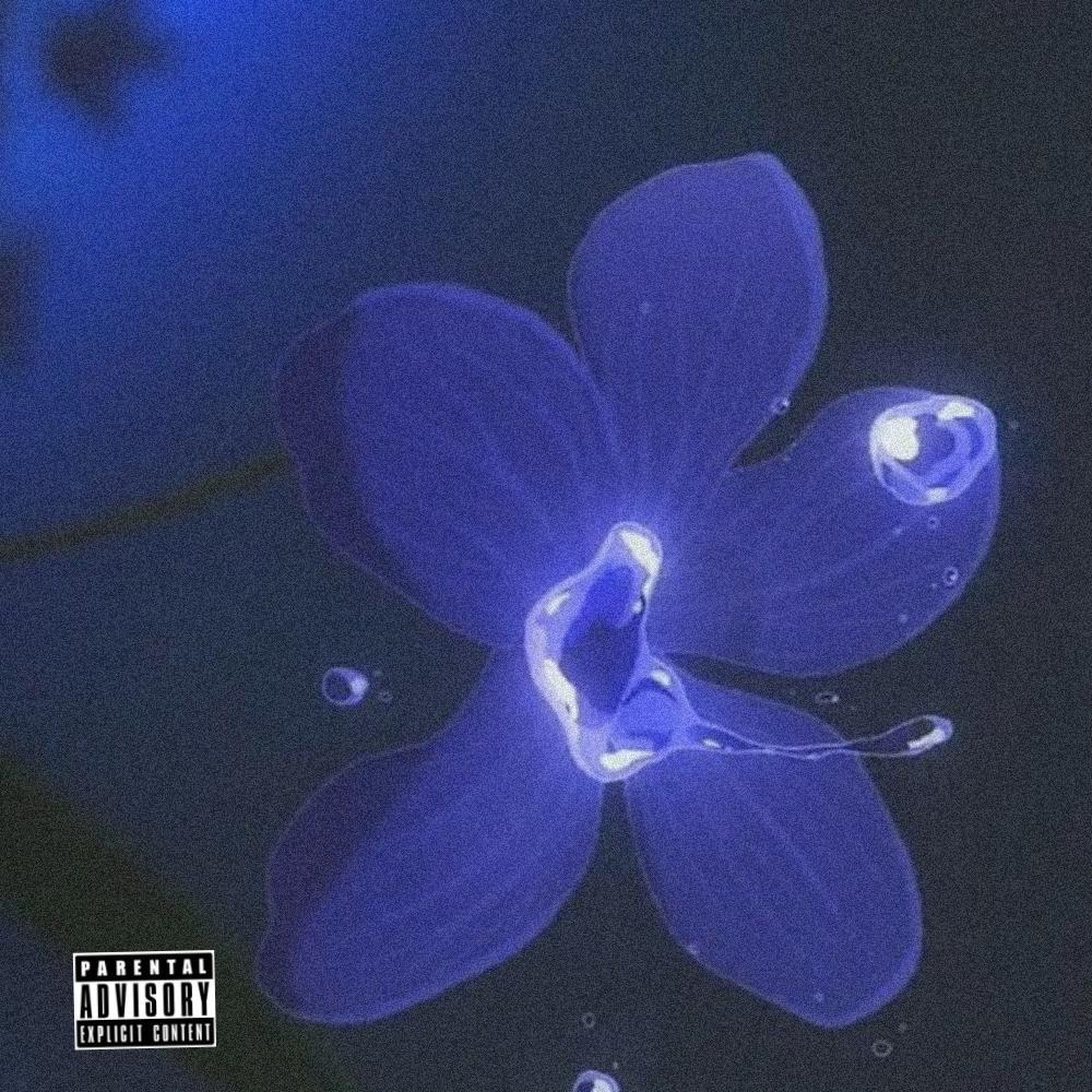 Violets (Explicit)