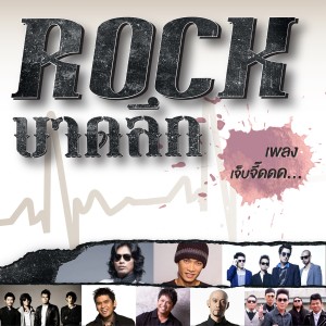 收聽แพนเค้ก的ผัดกะเพรากับเรา2歌詞歌曲