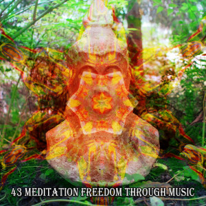 43 Meditation Freedom Through Music dari Music for Deep Meditation