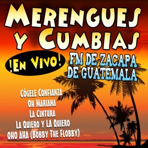 收聽FM de Zacapa de Guatemala的La Cintura (Merengue Version)歌詞歌曲
