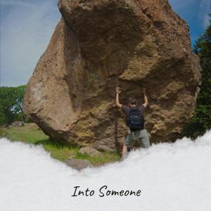 Album Into Someone from Various