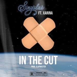 Album In The Cut (feat. Xarina) (Explicit) from Singular