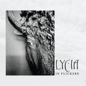 ดาวน์โหลดและฟังเพลง 25 Years พร้อมเนื้อเพลงจาก Lycia
