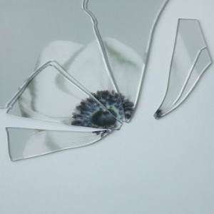 Album Запомню from Group Star