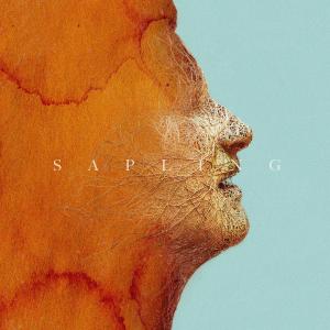 ดาวน์โหลดและฟังเพลง Sapling (feat. Rag'n'Bone Man) (Jonasu Remix) พร้อมเนื้อเพลงจาก Foy Vance