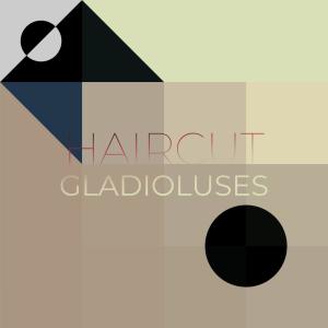 Various Artists的專輯Haircut Gladioluses