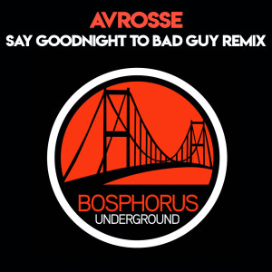 Avrosse的專輯Say Goodnight to the Bad Guy