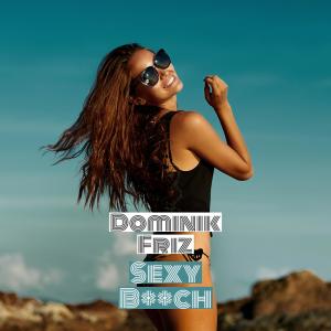 ดาวน์โหลดและฟังเพลง Sexy Bitch (Explicit) พร้อมเนื้อเพลงจาก Dominik Friz