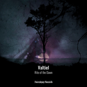 Listen to Poisoned (Original Mix) song with lyrics from Valtiel