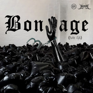Album Bondage (Radio Edit) from David Yandrin