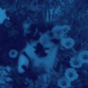 Listen to Crushxi! (slowed + reverb) song with lyrics from THEUZ ZL